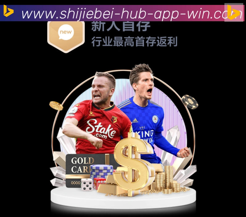 登录器